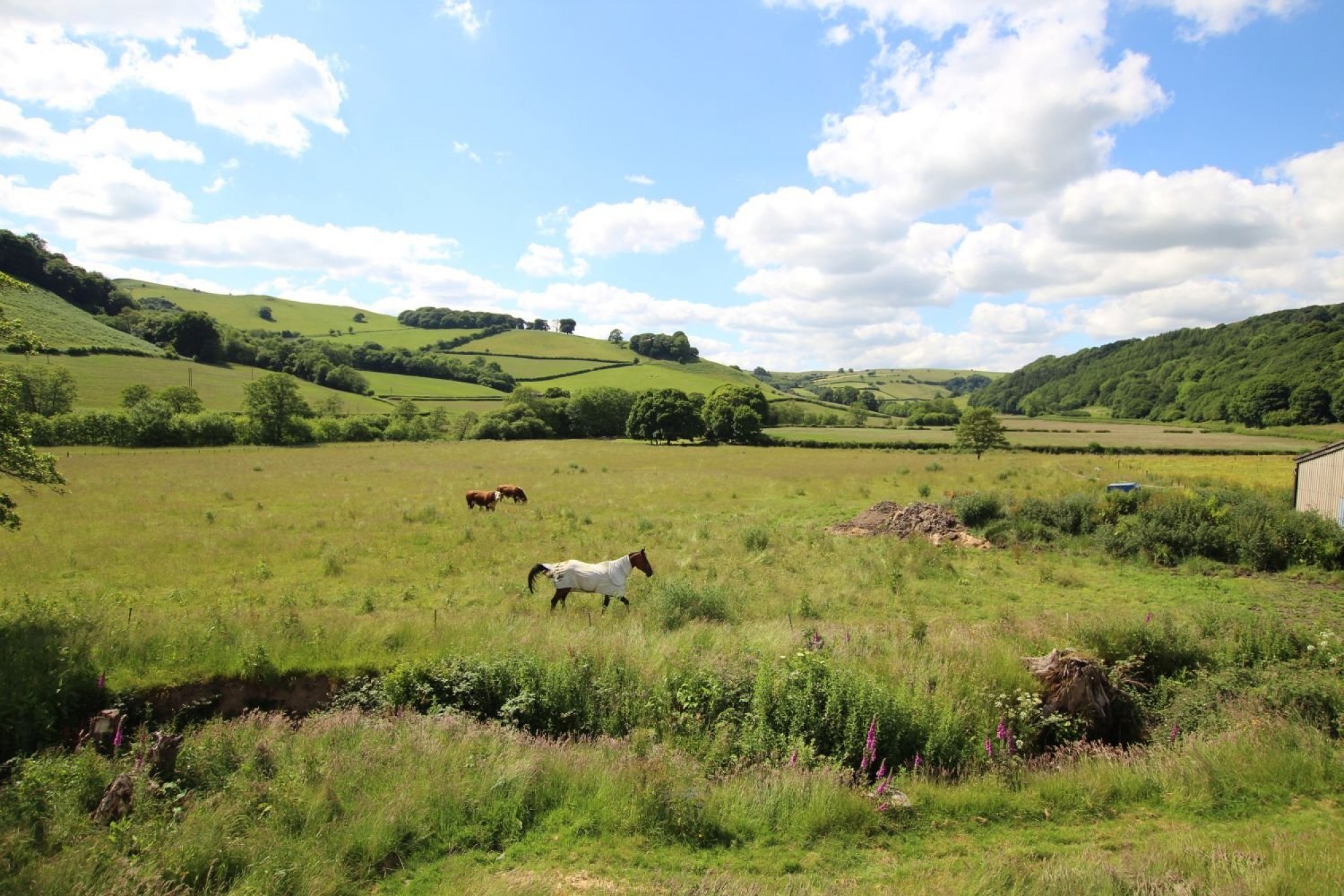 Images for Lower Chapel, Brecon, Powys