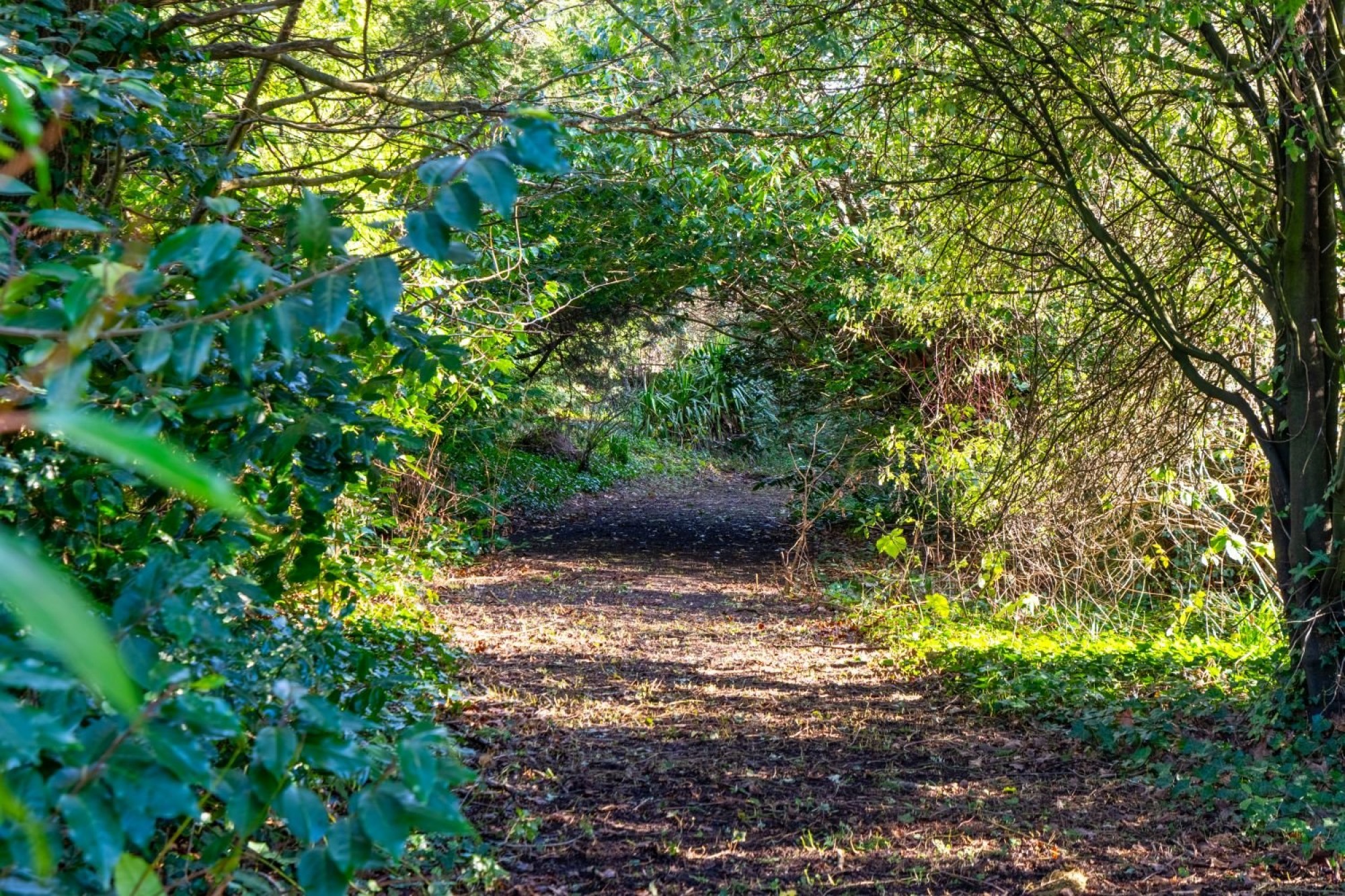 Images for Avenue Crescent, Abergavenny, Monmouthshire